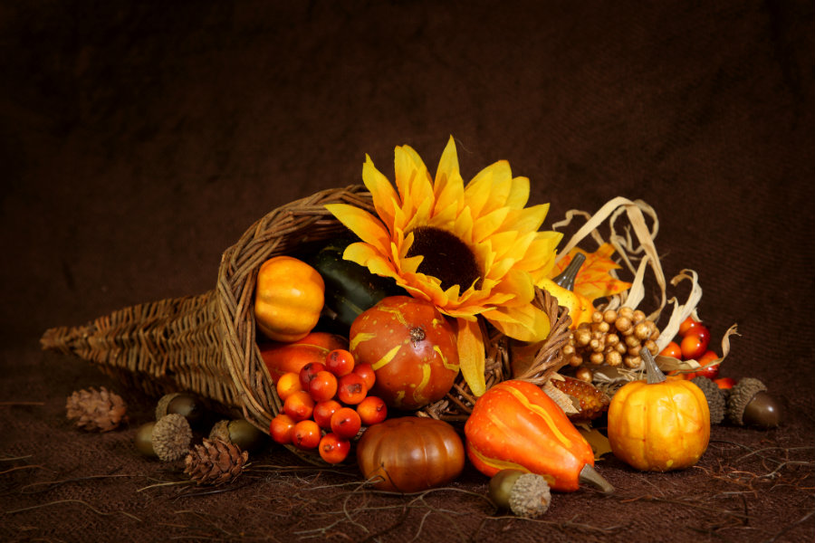 the-cornucopia-an-iconic-symbol-of-thanksgiving-eastern-floral