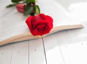 single red rose laying on an open book