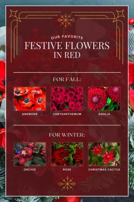 Our favorite festive red flowers for the holidays